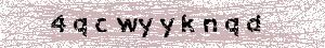 Reload Image